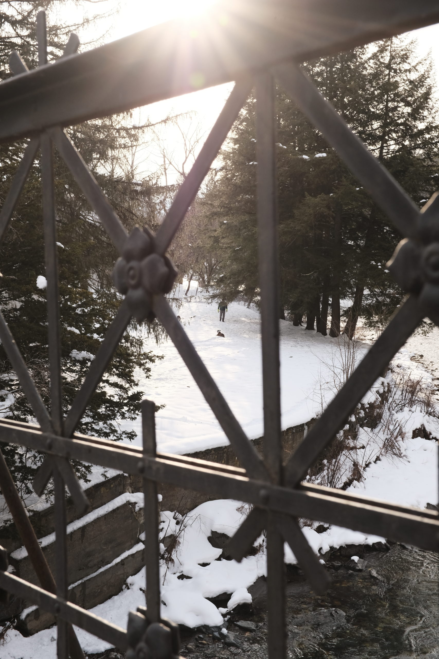 Person with their dog in the snow. Taken through decorative metal fence above a river.